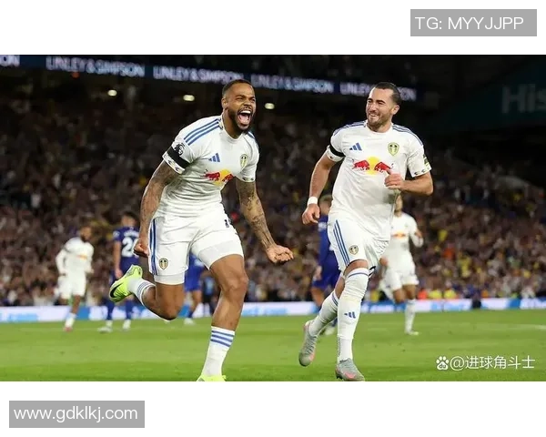 纽卡斯尔联队迎战利兹联队期待精彩对决与激烈竞争